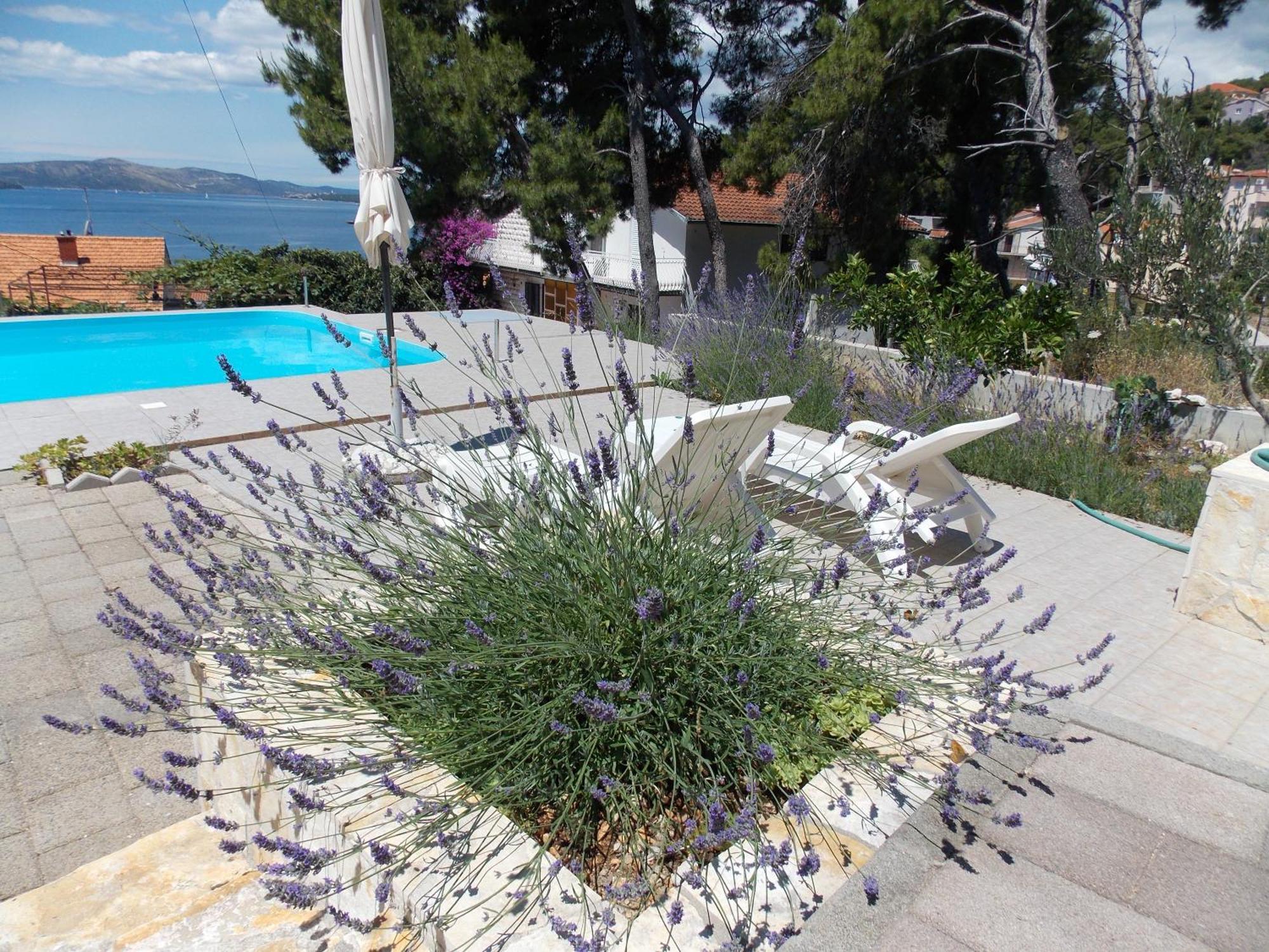 Apartments Villa Goja Trogir Kamer foto